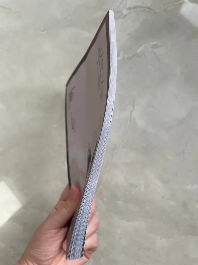 Luo Yunxi lindas notas adhesiv - Tan Stationery & Office Supply reseña y precio